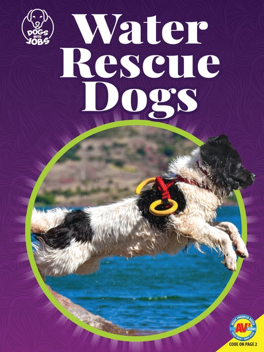 DWJ-Water Rescue Dogs