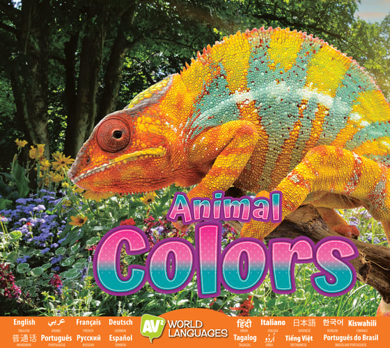 WL-Animal Colors-2